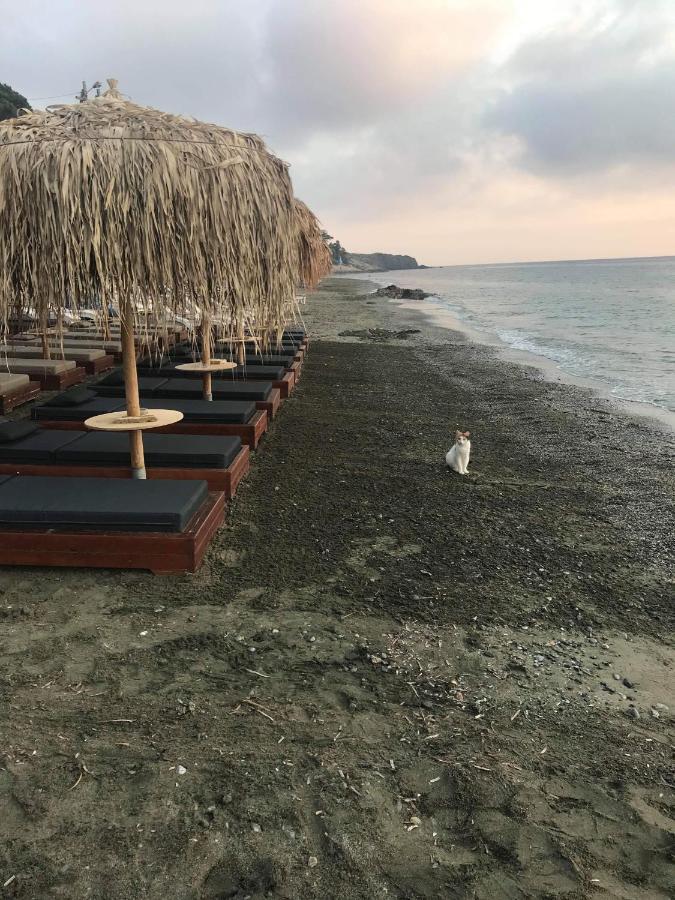 La Playa Boutique Apartments Myrties المظهر الخارجي الصورة